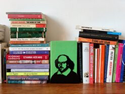 Alternative view of William Shakespeare