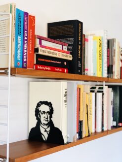 Alternative view of Johann Wolfgang von Goethe